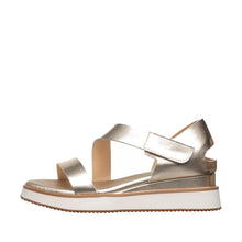 Load image into Gallery viewer, Champagne