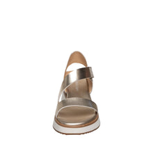 Load image into Gallery viewer, Champagne