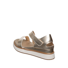 Load image into Gallery viewer, Champagne