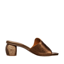 Load image into Gallery viewer, Bronze