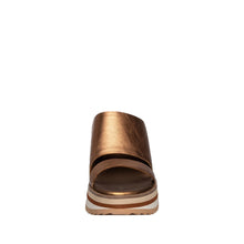 Load image into Gallery viewer, Bronze