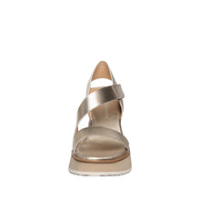 Load image into Gallery viewer, Champagne