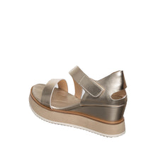 Load image into Gallery viewer, Champagne