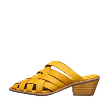 Load image into Gallery viewer, Daffodil