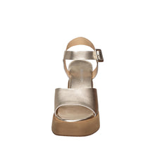 Load image into Gallery viewer, Champagne