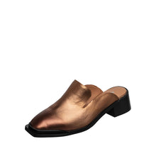 Load image into Gallery viewer, Bronze