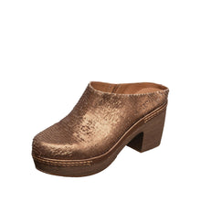 Load image into Gallery viewer, Bronze