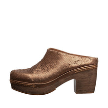 Load image into Gallery viewer, Bronze