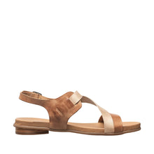 Load image into Gallery viewer, Taupe