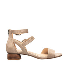 Load image into Gallery viewer, Gold