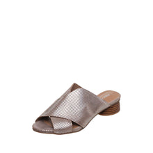 Load image into Gallery viewer, Silver