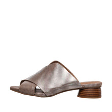 Load image into Gallery viewer, Silver