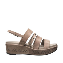 Load image into Gallery viewer, Light Grey