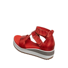 Load image into Gallery viewer, Red