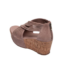 Load image into Gallery viewer, Blush