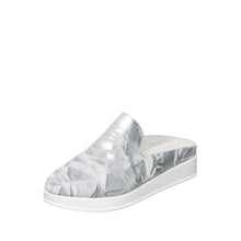 Load image into Gallery viewer, Silver