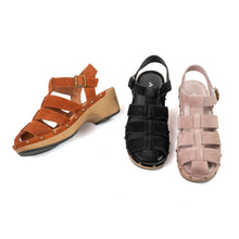 Load image into Gallery viewer, Blush