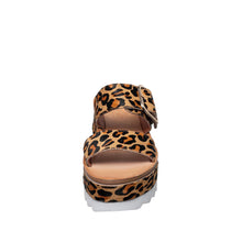 Load image into Gallery viewer, Brown