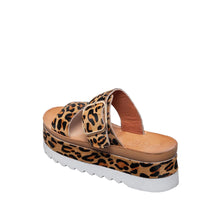 Load image into Gallery viewer, Brown