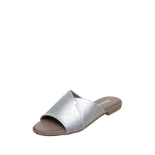 Load image into Gallery viewer, Silver