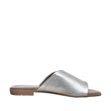 Load image into Gallery viewer, Silver