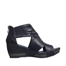 Load image into Gallery viewer, 462 Tavi
