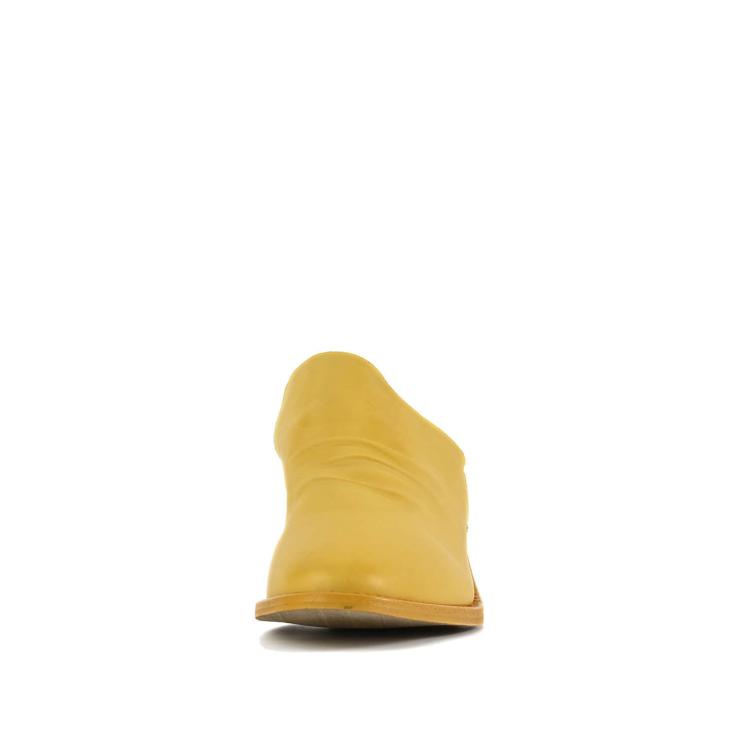 Daffodil