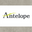 Antelope Shoes Official Brand™ Boots Sandals Booties Clogs & Mules logo